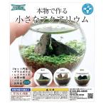  вид случайный вид из ... маленький аквариум Capsule игрушка 