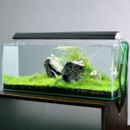 ( водоросли ) водоросли. .. расположение комплект 90cm тонкий аквариум полный комплект запад Япония для 60Hz 200 размер Хонсю Сикоку ограничение 