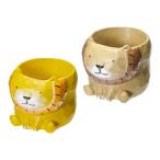  горшок little resin pot лев 1 номер pot для цвет случайный горшок покрытие 