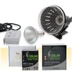 zen acid солнечный lapta-HID лампа 70W (70W устойчивость контейнер +70W лампа + зажим лампа )