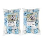 昆虫ゼリー　プロゼリー（１６ｇ　１００個入り）×２袋セット　カブトムシ・クワガタ用　高タンパク！硬め仕上げ！ブリードに最適！