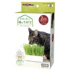 kya чай man ....... кошка. сырой овощи 2 выпуск кошка . Doogie man 