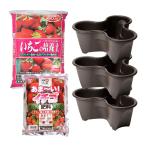 いちごタワー栽培セット　ハーベリーポット（３個）・