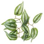 re Bill Queen re Bill поддельный растения leaf вешалка 