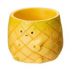  горшок little resin pot ананас 1 номер pot для горшок покрытие 