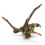 kami - ta вид оставив решение кому-то другому Old дерево L аквариум террариум Pal dalium расположение 