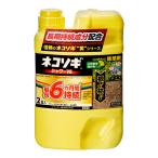  Rainbow кошка sogi душ V6 2L убийца сорняков самый длинный 6 месяцев ..sginazenigokekoke