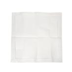 ビーティングネット用　布　薄型　大サイズ　１枚　昆虫採集　観察