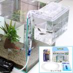  вне . тип производство яйцо разведение box satellite стартер комплект 