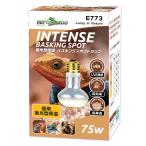 三晃商会　ＲＥＰＴＩＺＯＯ　バスキングスポットランプ　７５Ｗ　集光型　Ｅ２６　爬虫類　ライト　紫外線