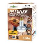 三晃商会　ＲＥＰＴＩＺＯＯ　バスキングスポットランプ　１００Ｗ　集光型　Ｅ２６　爬虫類　ライト　紫外線