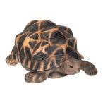 ホシガメ　オーナメント　オブジェ