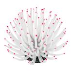 zen acid ZEST копия коралл M-12 белый розовый 