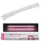  outlet вода произведение LED свет выше SLIMnachure300 белый 30cm аквариум освещение аквариум есть перевод 