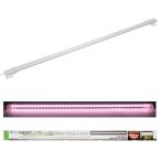  outlet вода произведение LED свет выше SLIMnachure900 белый 90cm аквариум освещение аквариум есть перевод 