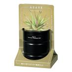 . новый керамика вид из ... агава культивирование комплект kerucho Bay красный красный агава культивирование комплект огород подарок суккулентное растение 