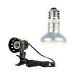 三晃商会　ＲＥＰＴＩＺＯＯ　バス