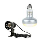 三晃商会　ＲＥＰＴＩＺＯＯ　バス