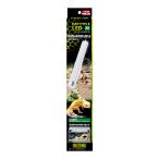 GEXekizo tera tei cycle LED M