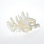  один пункт предмет ... коралл зеленый isi314135