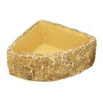  три . association REPTIZOO Sune - заднее крыло тарелка угол L змея вода inserting 