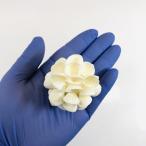  один пункт предмет ракушка коллекция 314758