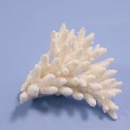  один пункт предмет ... коралл зеленый isi314871