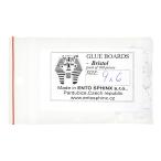 チェコ製　小型昆虫貼り付け台紙　９×６ｍｍ　１００枚入り