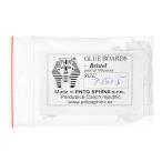 チェコ製　小型昆虫貼り付け台紙　Ｐ１５×５ｍｍ　１００枚入り