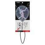 スドー　メダカの玉網（大）