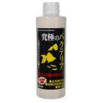B-blast максимальный бактерии 250ml