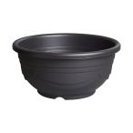 アウトレット品スドーメダカ鉢黒茶１...