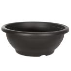 スドーメダカ鉢黒茶１８号お一人様２点限り