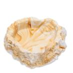 sdo-repti миска 2 SF