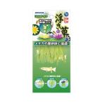 niso- little сад отходит . Mini 3 вид ассортимент человеческий труд водоросли 