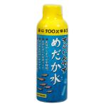  Kotobuki прикладное искусство поразительный .. оризия вода 150ml