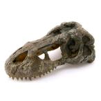 GEXekizo tera T-REX Skull S PT2860 рептилии расположение украшение 