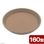  Apple одежда -koti plate 160 type Brown 