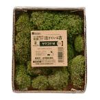  вода произведение ..... мох yamagokeM dry модель 