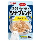 いなば　ＣＩＡＯ　チ