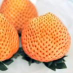 ( декоративное растение ) овощи рассада клубника персик .(PVP) 3 номер (1 pot ) огород клубника рассада фрукты фрукты 