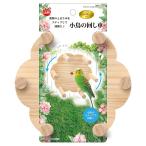 ma LUKA n bird pa отсутствует маленькая птица. беличье колесо 