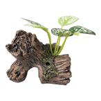  Kotobuki прикладное искусство PON-.. коряга C