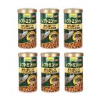 テトラ　レプトミンスーパー　大粒