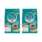 pyulina one ..*.. сделал кошка. масса уход ..*.. после из все возраст . salmon &tsuna3kg×2
