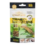 ＧＥＸ　ＲｅｐＤｅｒｉ　カナヘビブレンドフード　４０ｇ　爬虫類　フード