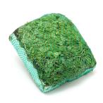 （水草）水生植物　巻きたて　メダカが喜ぶ侘び島！〜赤系水草Ｖｅｒ．〜　浮き島　産卵　隠れ家（水上葉）（１個）