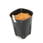 ( луговые и горные травы ) тонн наан shou( небо юг звезда ) oo mine тонн наан shou( большой . небо юг звезда )SS размер 1 лампочка ввод 3 номер (1 pot )(.. состояние )