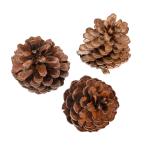 川井　ＰＩＮＥ　ＣＯＮＥ　パインコーン　３個入