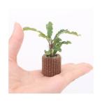 ( водоросли ) жизнь мульти- ( чай )bsefa Land lasp. зеленый way Be ( водный лист )(1 шт )